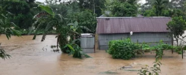 ছবি : সংগৃহীত