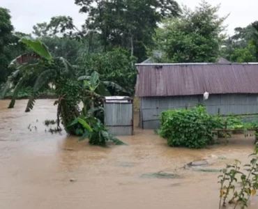 ছবি : সংগৃহীত