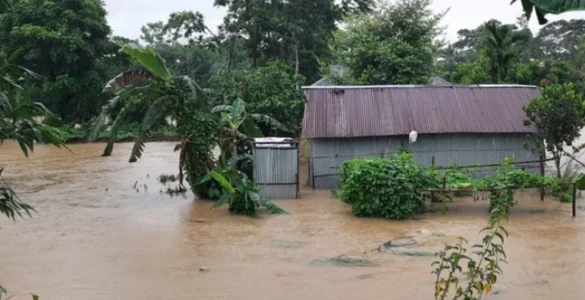 ছবি : সংগৃহীত