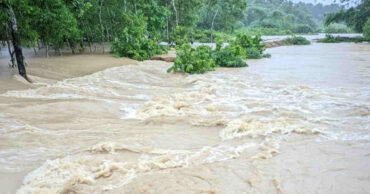 ছবি : সংগৃহীত