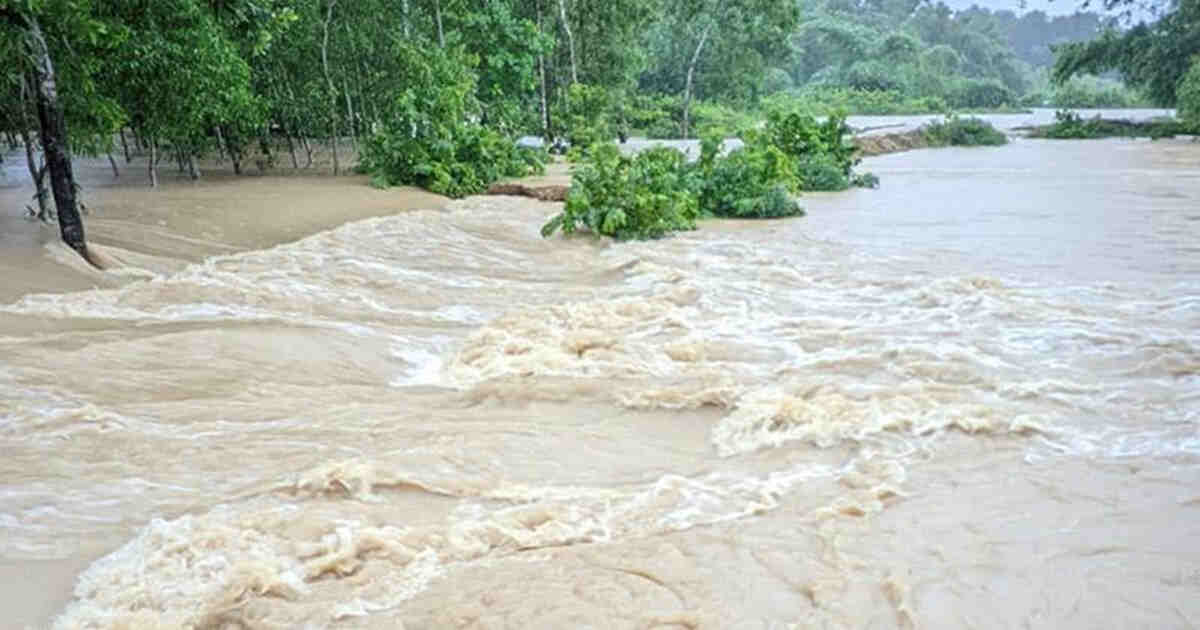 ছবি : সংগৃহীত