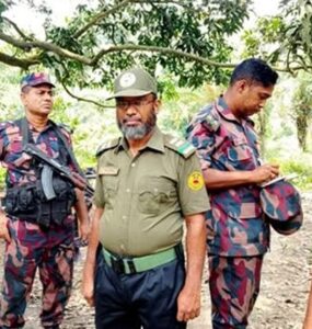 ছবি : সংগৃহীত