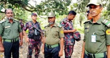 ছবি : সংগৃহীত