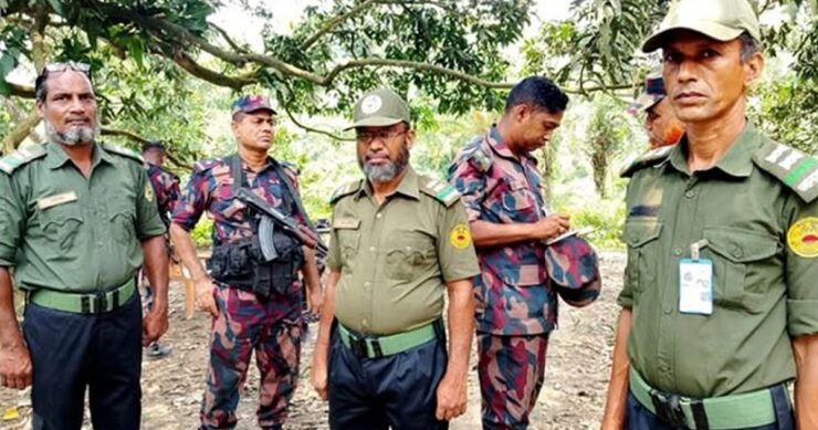 ছবি : সংগৃহীত
