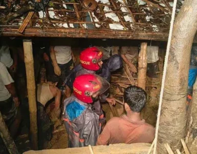 ছবি : সংগৃহীত