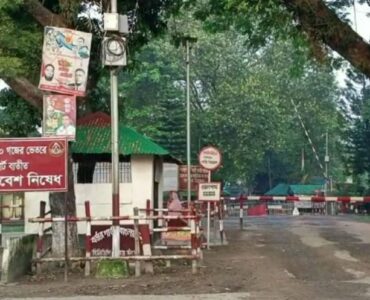 ছবি : সংগৃহীত
